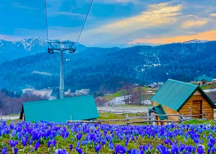 Central Kolasin